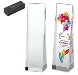 Altitude Hubris Award