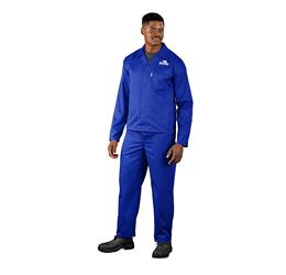 Budget Conti Suit